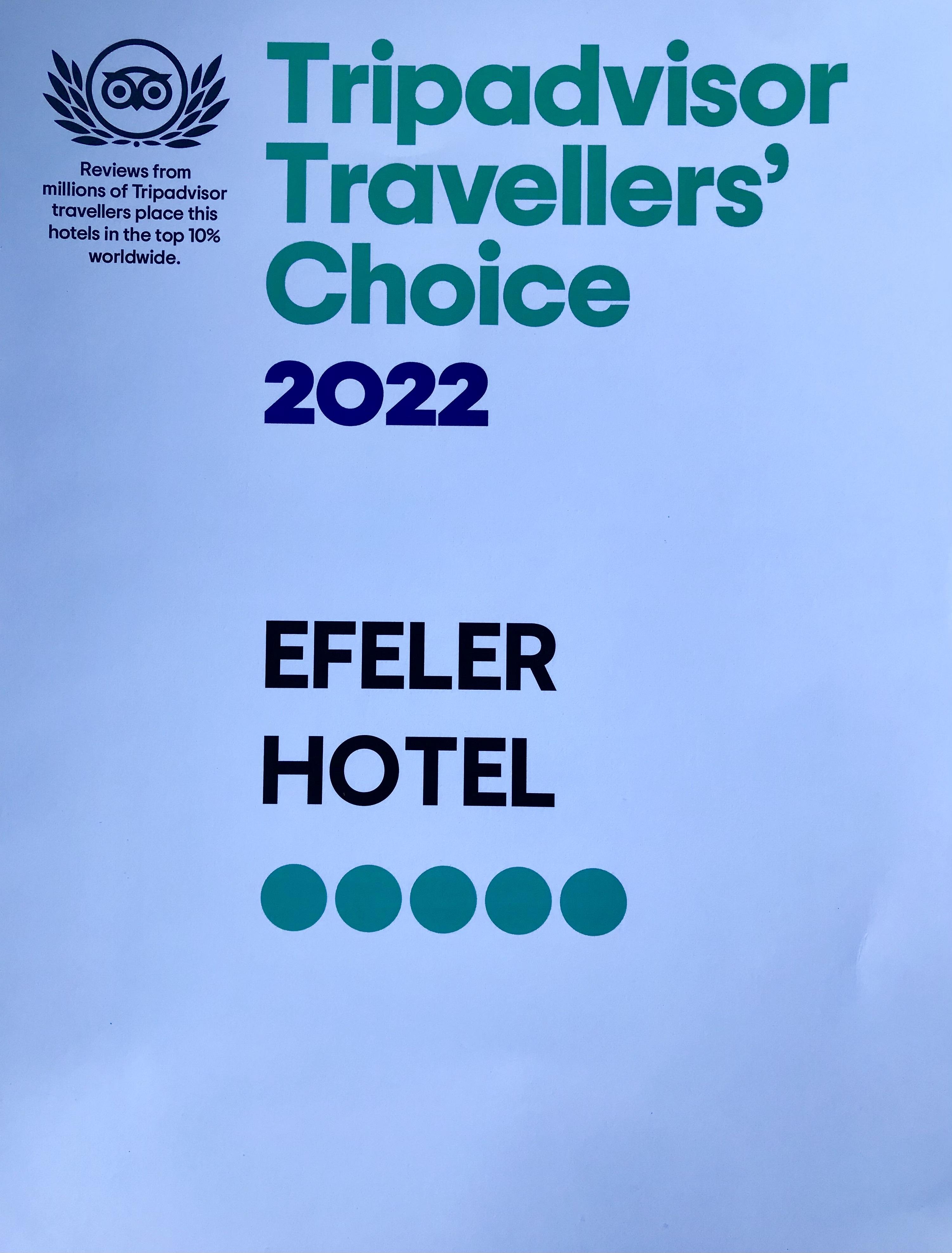 Efeler Hotel Aydin Exterior photo